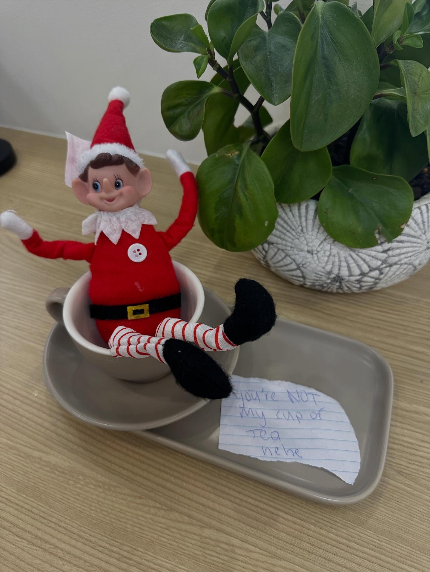 Cheeky Elf has made an appearance in salon this year 😂 

Team as having lots of fun with this 🤣🤣 

#elf #elfontheshelfideas